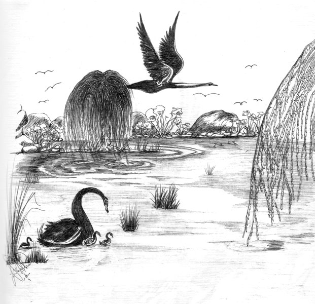 Ginibi Boothrum (Black Swan Dreaming
