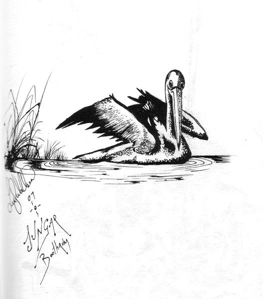 Jungar Boothrum (Pelican Dreaming)